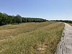 IMG_0880(1)