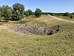 IMG_0881(1)
