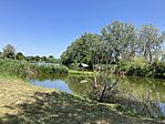 IMG_0908(1)