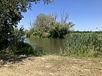 IMG_0907(1)