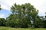 20100623-062