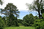 20100623-065
