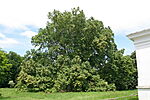 20100623-068