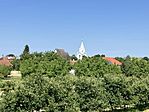 IMG_0928(1)
