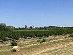 IMG_0929(1)