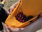 IMG_0932(1)
