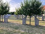 IMG_0950(1)