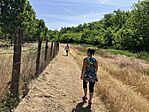 IMG_0968