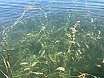 IMG_1117(1)