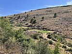 IMG_1142