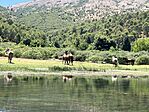 IMG_1130
