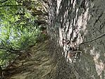 IMG_8320