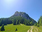 IMG_20250701_140102