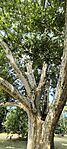 IMG_20250706_091545