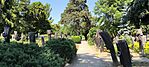 IMG_20250706_143127