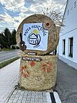 IMG_6049