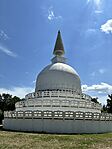 IMG_6059