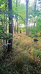 IMG_20250719_182855