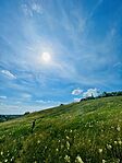 IMG_5703