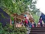 IMG_20250717_115245