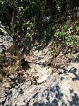 20250705_105352 (1)
