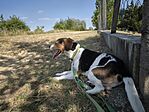 IMG_20250706_161925