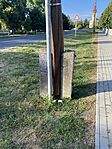 IMG_1799