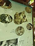 IMG_20250721_122927
