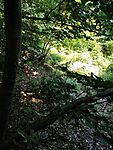 IMG_20250721_144423