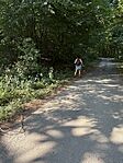 IMG_0054