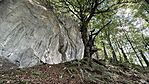IMG_4470