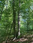 IMG_1066