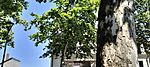IMG20250622134325