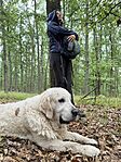 IMG_1276