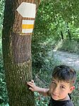 IMG_1681