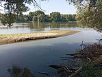 IMG_20250725_093522.jpg