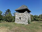IMG_20250731_110533