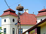 Gólyafészek