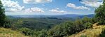 IMG_20250718_113424 (1)