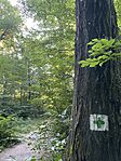 IMG_7557