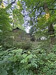 IMG_7555