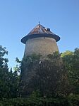 IMG_7575