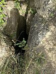 IMG_7815