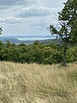 IMG_7889