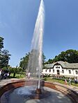 IMG_20250601_101808