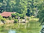 IMG_1949