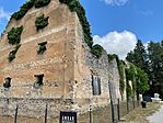 IMG_1937