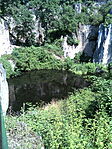DSC00010