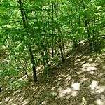 IMG_20250723_123414