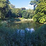 IMG_20250723_173829